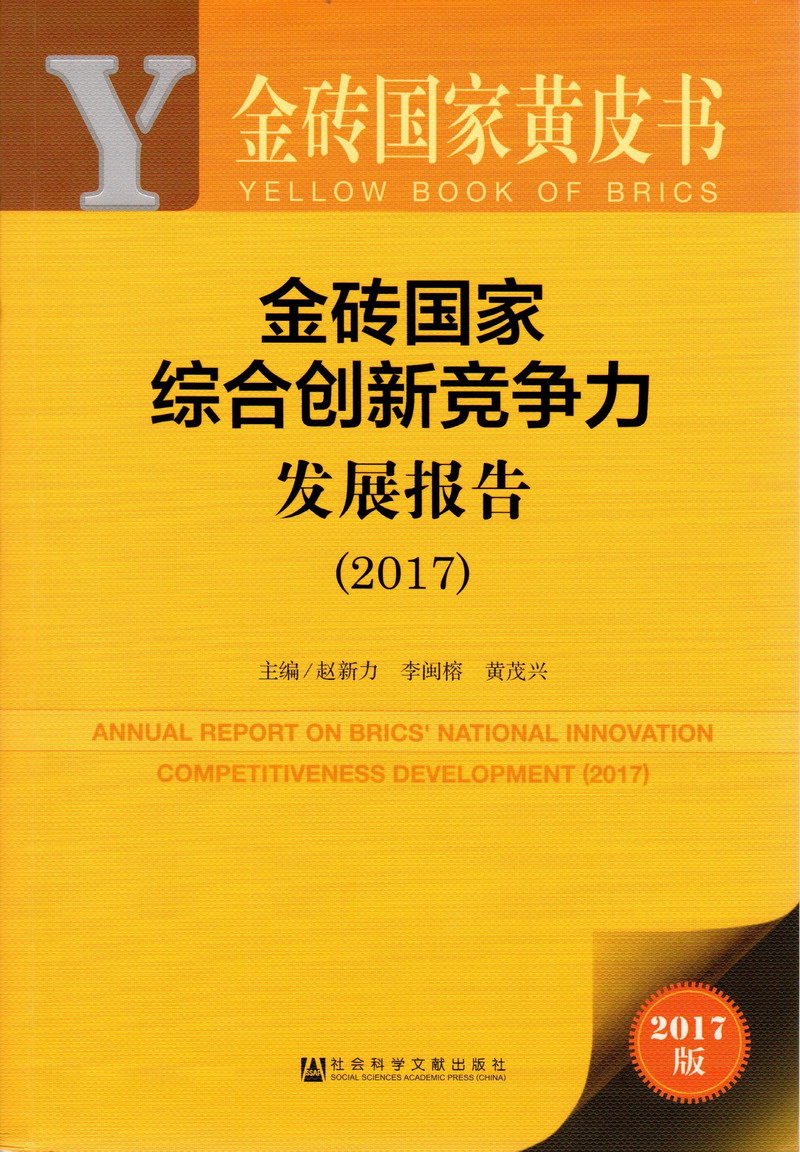 黑丝美女被操的边呻吟边流水金砖国家综合创新竞争力发展报告（2017）